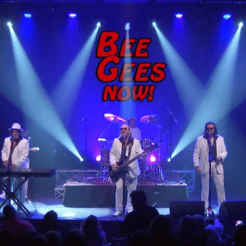 Bee Gees NOW